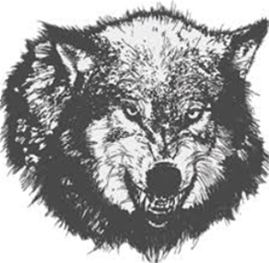 Wolf Trapping and Fur Trade