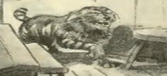 “Wildcat McKinney”